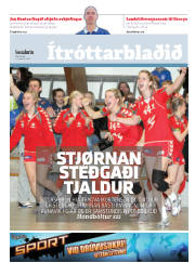 Síða 17