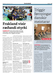 Síða 19