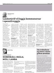 Síða 31