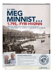 Síða 3
