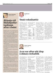 Síða 15