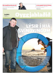 Síða 17