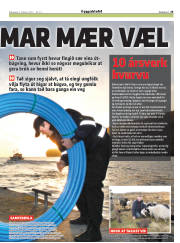 Síða 25