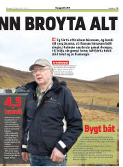 Síða 31