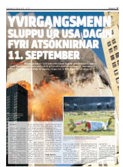 Síða 17