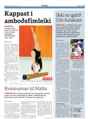 Síða 29