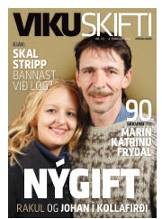 Síða 41