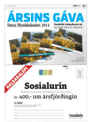 Síða 61