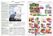 Síða 15