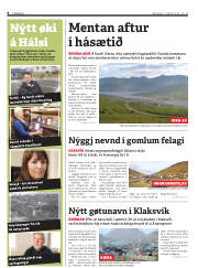 Síða 8