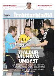Síða 15