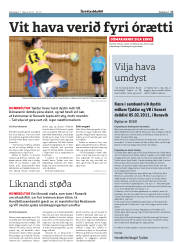 Síða 17