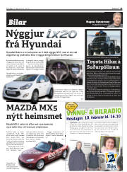Síða 33