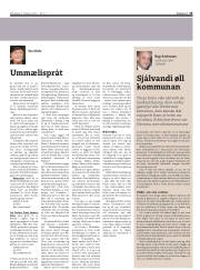 Síða 15