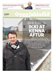 Síða 17