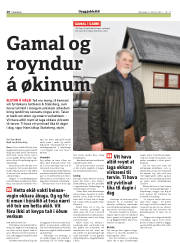 Síða 20