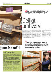 Síða 29