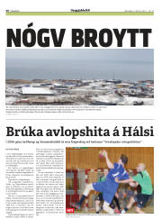 Síða 30
