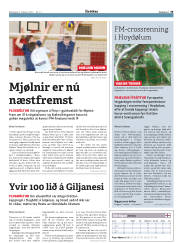 Síða 35