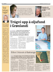 Síða 8