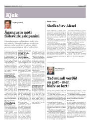 Síða 17
