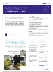 Síða 43