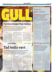 Síða 19