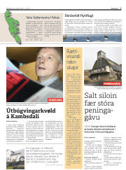 Síða 7
