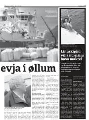 Síða 11