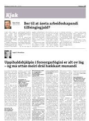 Síða 13