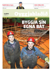 Síða 17