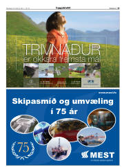 Síða 19