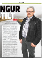 Síða 25