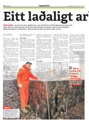 Síða 28