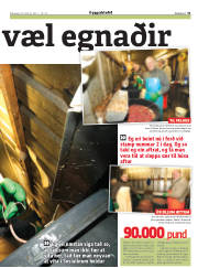 Síða 31