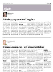 Síða 33