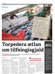 Síða 6