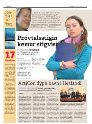 Síða 8