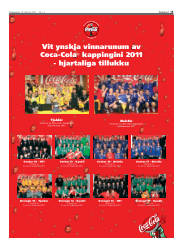 Síða 13