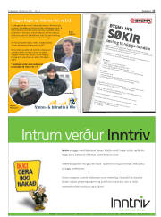 Síða 17