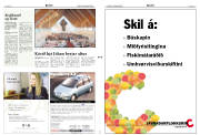 Síða 2