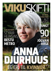 Síða 33