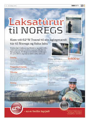 Síða 45