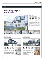 Síða 55