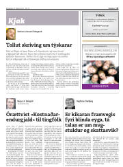 Síða 13