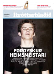 Síða 15