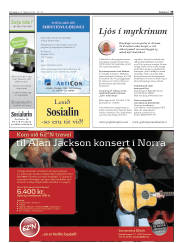 Síða 33