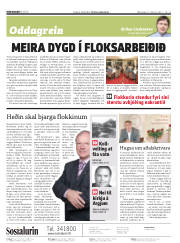 Síða 2