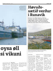 Síða 15