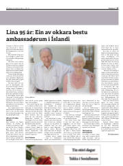 Síða 17